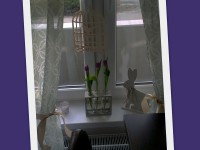 /album/fotogaleria-mark/naposledy-odovzdane71-jpg/